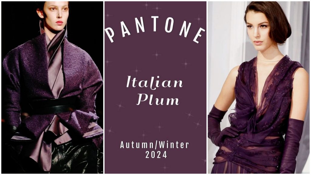 PANTONE 19-2514 Italian Plum (Итальянская слива)